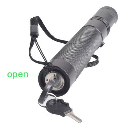 Mini 2 In1Cat Keychain Fun Pointer with Battery Light Portable Laser Pointer LED Training Torch Pet Cat Tickle Toy Flashlight