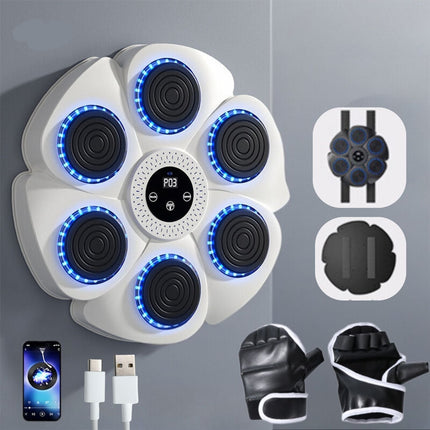 BoxPro™ Smart Boksmachine