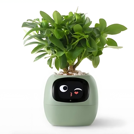 Happy Ivy™ - Slimme Bloempot met Automatische Plantenverzorging